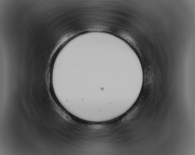 X0000086891130200705071217