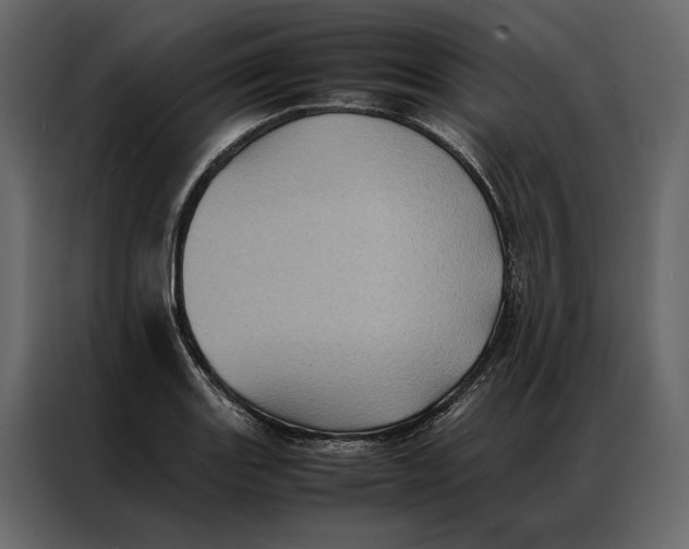 X0000086891131200705071217