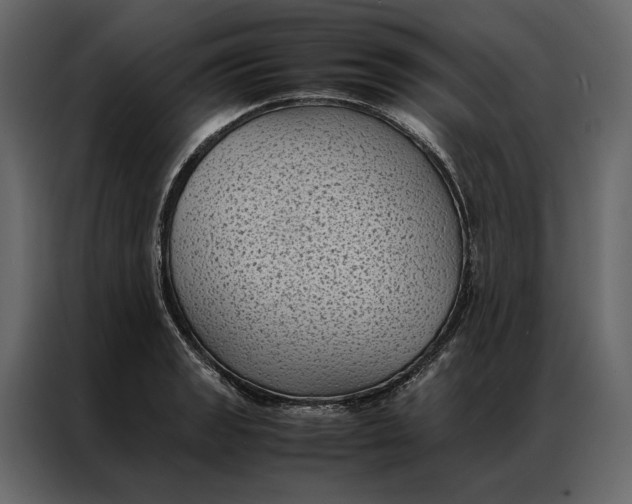 X0000086891133200705071217