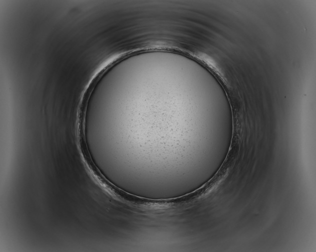 X0000086891134200705071217