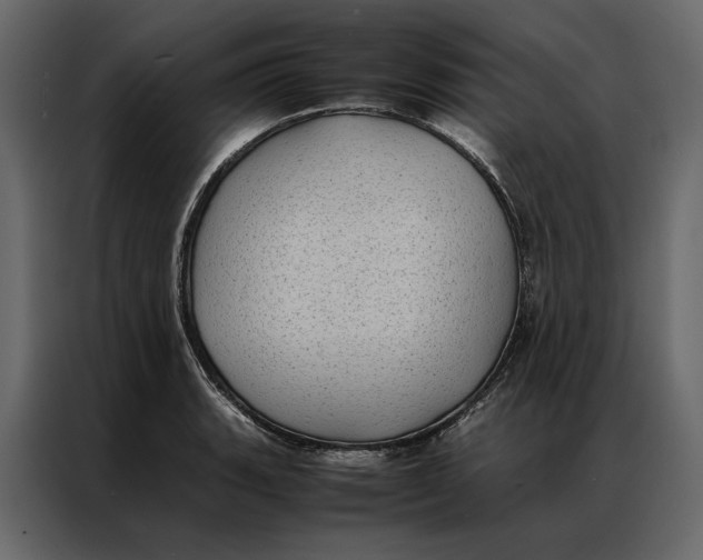 X0000086891135200705071217