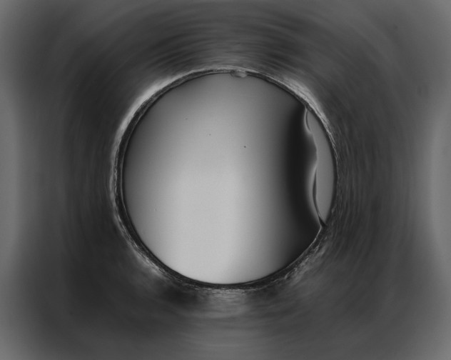 X0000086891136200705071217