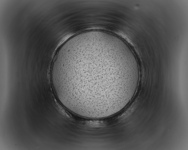 X0000086891137200705071217