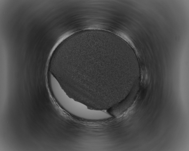 X0000086891138200705071217