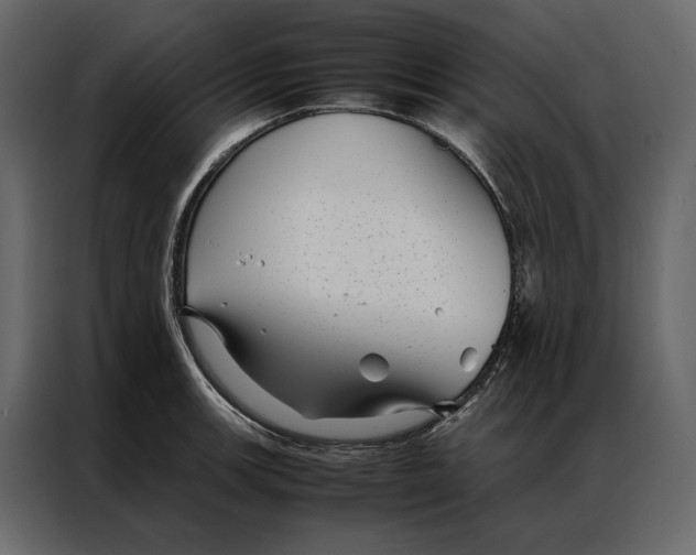 X0000086891139200705071217