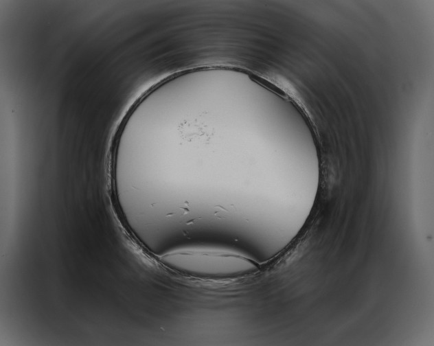 X0000086891140200705071217