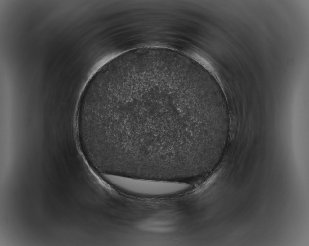 X0000086891141200705071217