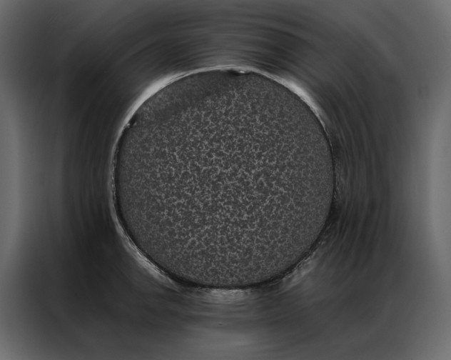 X0000086891142200705071217