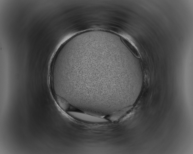 X0000086891143200705071217