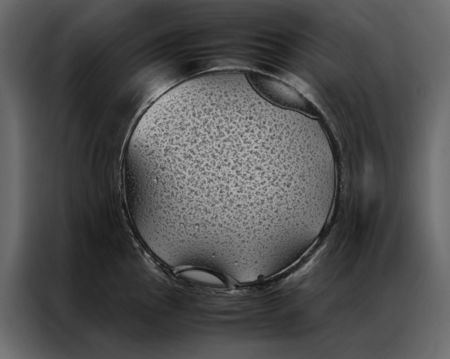 X0000086891145200705071217