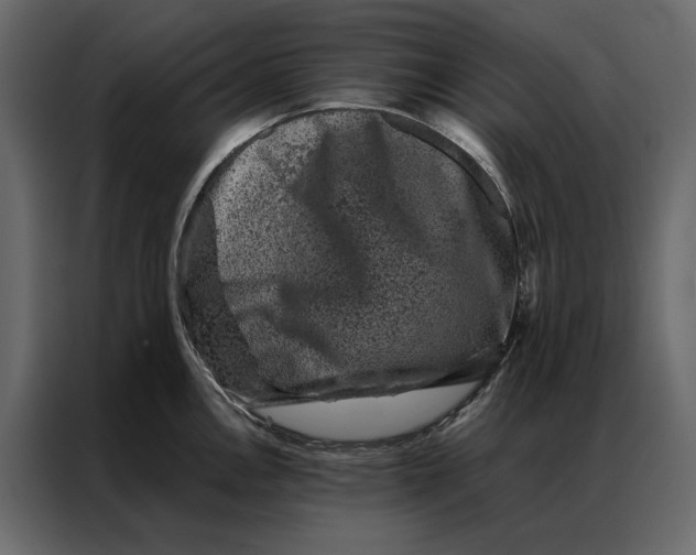 X0000086891146200705071218