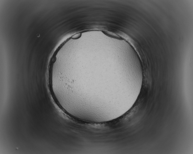 X0000086891147200705071218