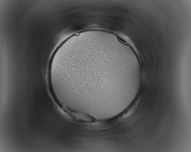 X0000086891149200705071218