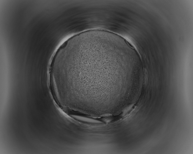 X0000086891151200705071218