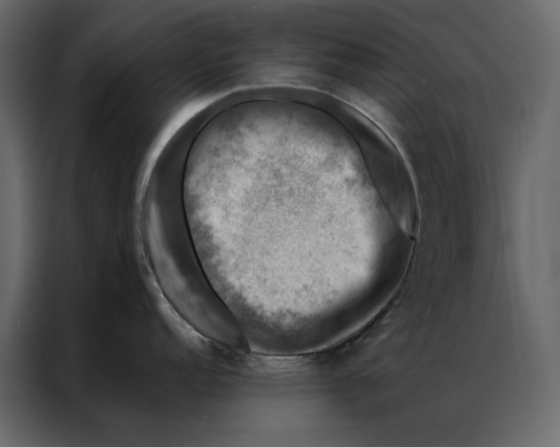 X0000086891152200705071218