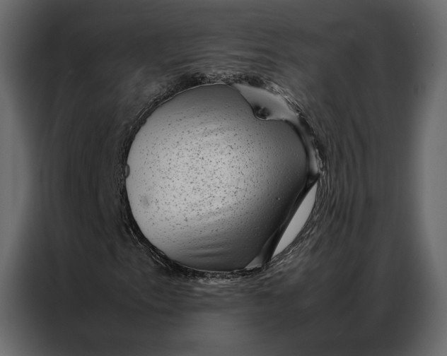 X0000086891153200705071217