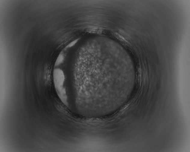 X0000086891154200705071217