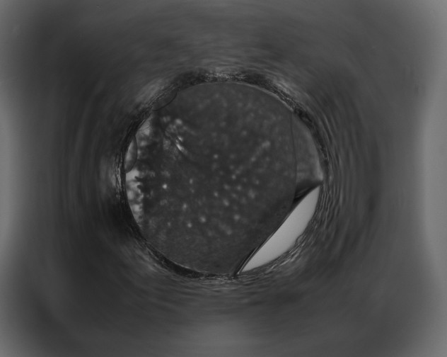 X0000086891155200705071217