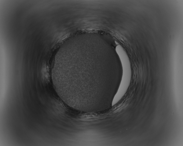 X0000086891156200705071217