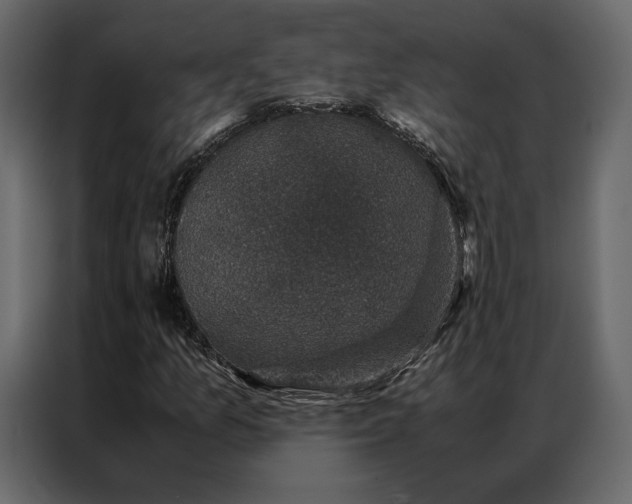 X0000086891157200705071217