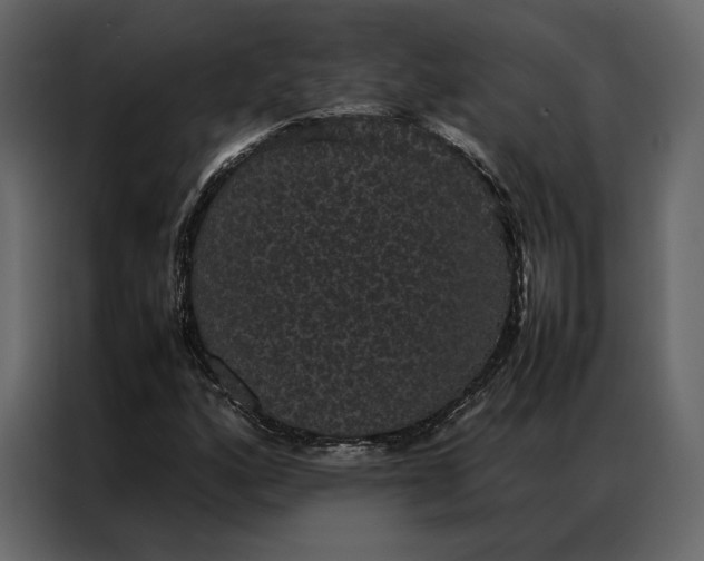 X0000086891160200705071217