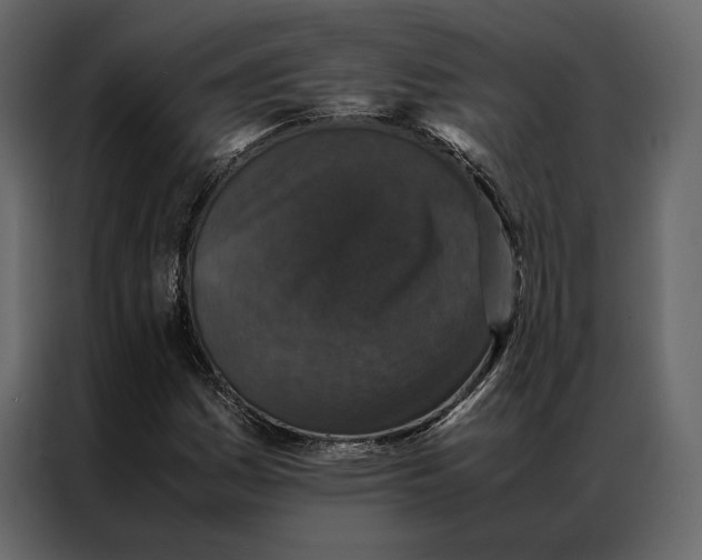 X0000086891161200705071217