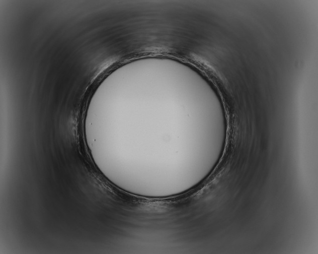 X0000086891162200705071217