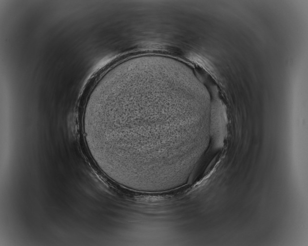 X0000086891164200705071217