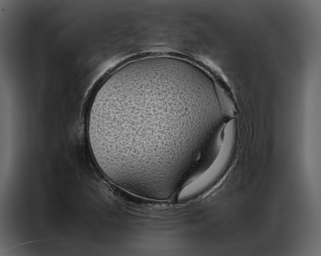 X0000086891167200705071217