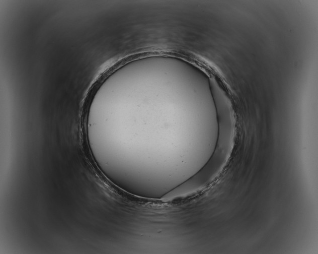 X0000086891168200705071217