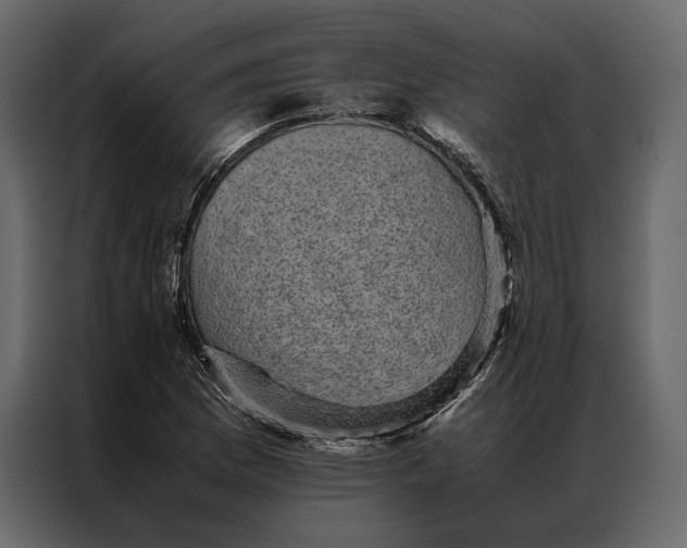 X0000086891169200705071217