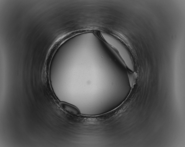 X0000086891172200705071217