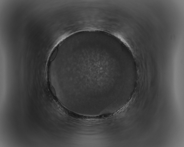 X0000086891173200705071217