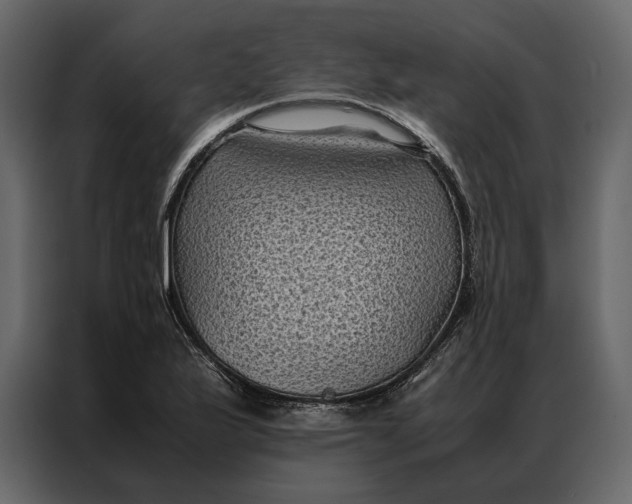 X0000086891175200705071217