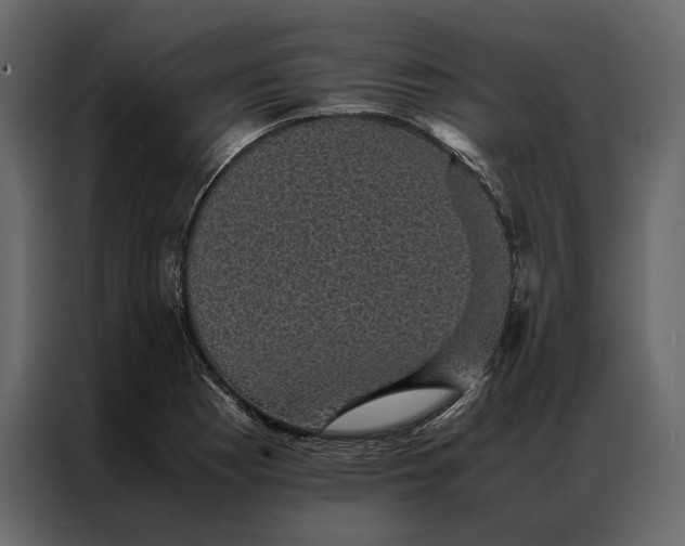 X0000086891177200705071217