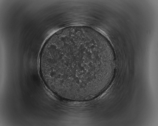 X0000086891179200705071217