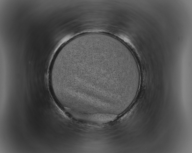 X0000086891181200705071217