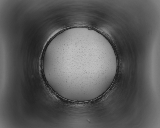 X0000086891182200705071217