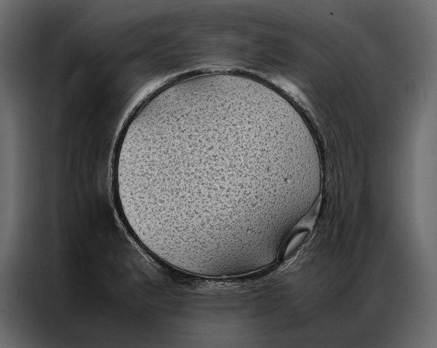 X0000086891183200705071217