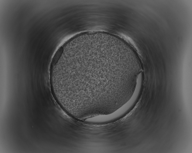 X0000086891184200705071217