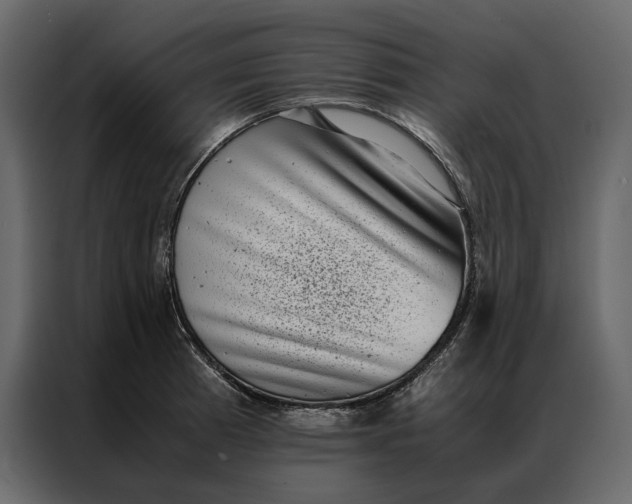 X0000086891185200705071217