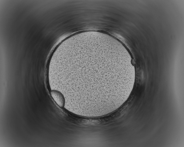 X0000086891187200705071217