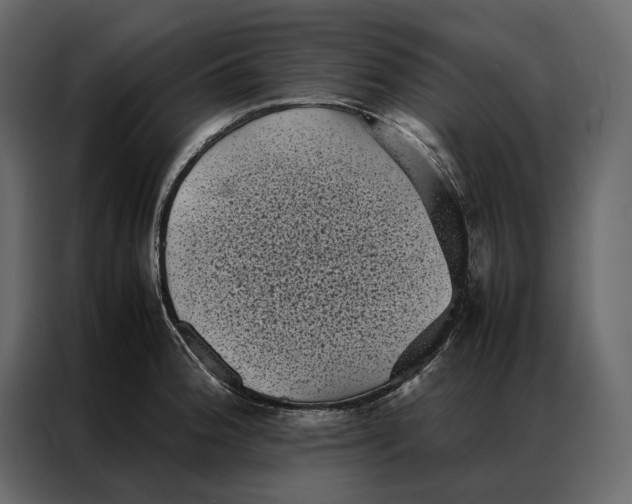 X0000086891188200705071216