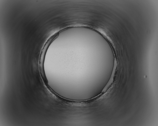 X0000086891189200705071216