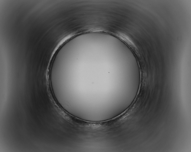 X0000086891190200705071216