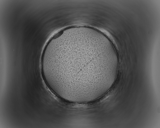 X0000086891191200705071216