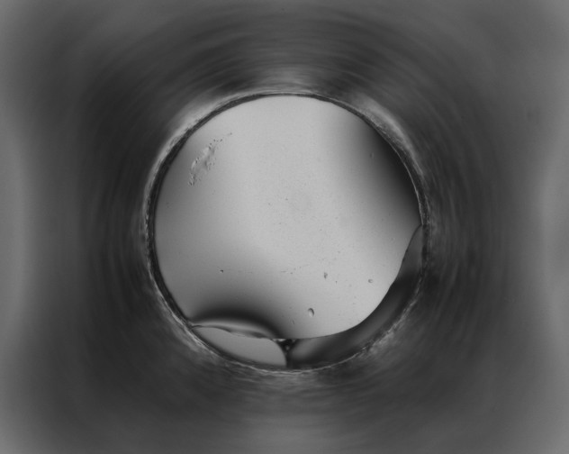 X0000086891192200705071216