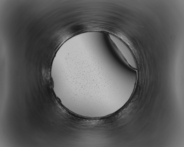 X0000086891193200705071216