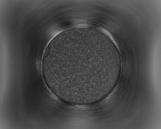 X0000086891194200705071216