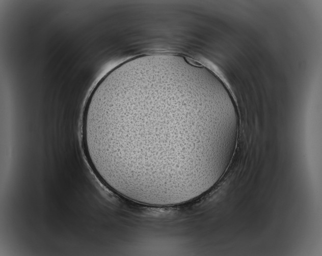 X0000086891195200705071216